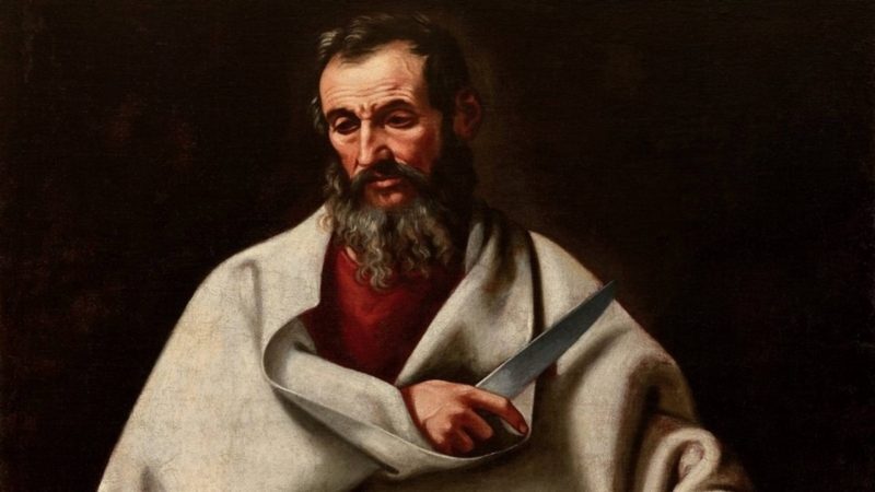 Ogłoszenia duszpasterskie na XX Niedzielę Zwykłą 18.08.2024r.